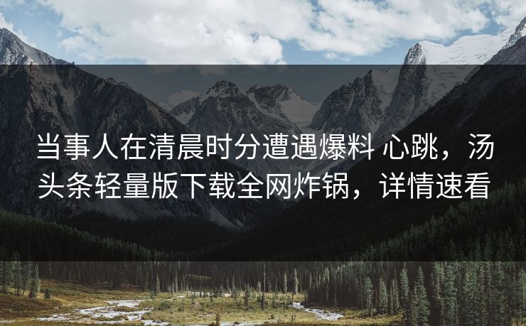 当事人在清晨时分遭遇爆料 心跳，汤头条轻量版下载全网炸锅，详情速看